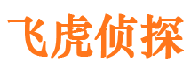 广陵捉小三公司